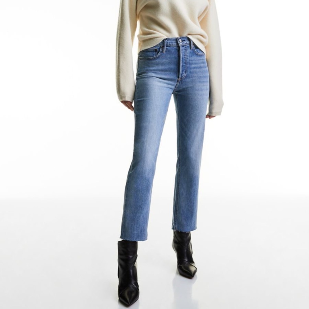 Aritzia Denim Forum Arlo High Rise Straight Jeans - Size 25